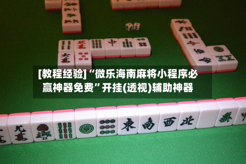 [教程经验]“微乐海南麻将小程序必赢神器免费”开挂(透视)辅助神器-第3张图片