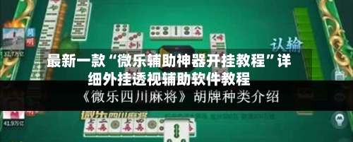 最新一款“微乐辅助神器开挂教程”详细外挂透视辅助软件教程-第2张图片
