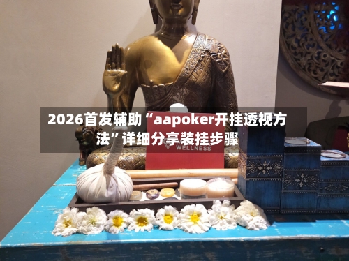 2026首发辅助“aapoker开挂透视方法”详细分享装挂步骤-第2张图片