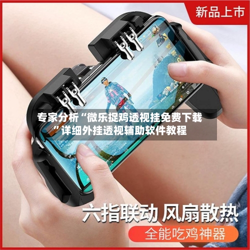 专家分析“微乐捉鸡透视挂免费下载”详细外挂透视辅助软件教程-第3张图片