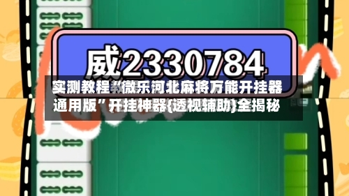 实测教程“微乐河北麻将万能开挂器通用版”开挂神器{透视辅助}全揭秘-第2张图片