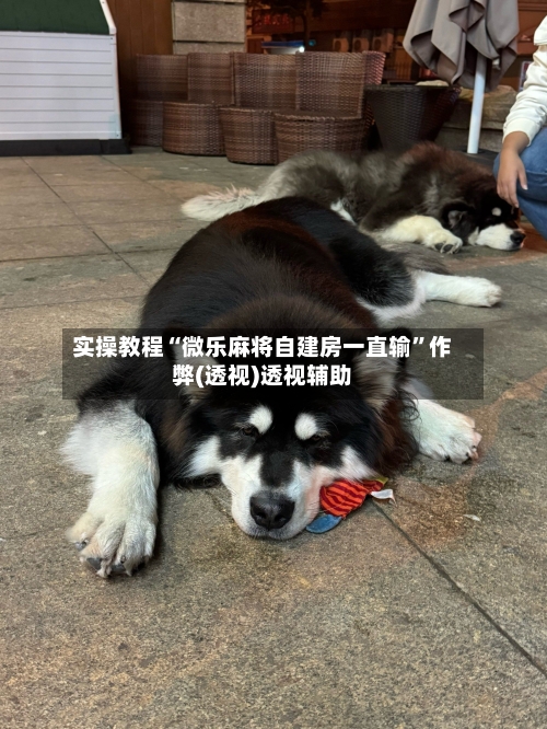 实操教程“微乐麻将自建房一直输”作弊(透视)透视辅助-第2张图片