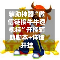 辅助神器“微信链接牛牛透视挂	”开挂辅助脚本+详细开挂-第3张图片