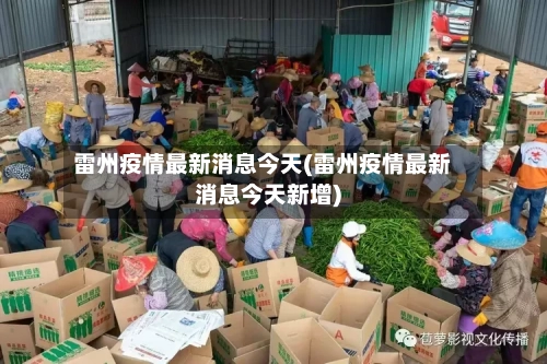 雷州疫情最新消息今天(雷州疫情最新消息今天新增)