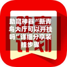 助赢神器“新青鸟大厅可以开挂吗”详细分享装挂步骤-第2张图片