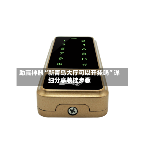 助赢神器“新青鸟大厅可以开挂吗”详细分享装挂步骤-第3张图片