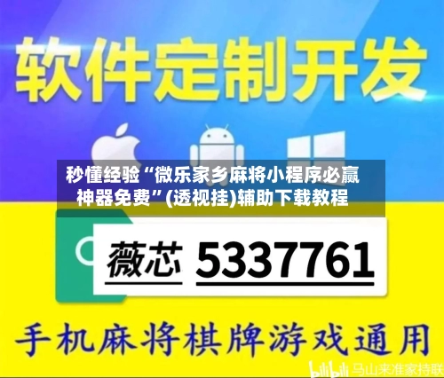 秒懂经验“微乐家乡麻将小程序必赢神器免费	”(透视挂)辅助下载教程-第2张图片