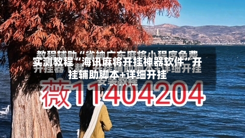 实测教程“海讯麻将开挂神器软件”开挂辅助脚本+详细开挂-第3张图片