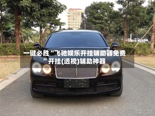 一键必胜“飞驰娱乐开挂辅助器免费”开挂(透视)辅助神器-第3张图片