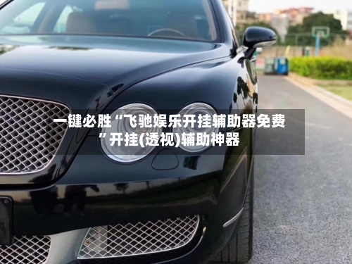 一键必胜“飞驰娱乐开挂辅助器免费”开挂(透视)辅助神器-第2张图片