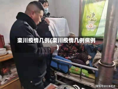 栾川疫情几例(栾川疫情几例病例)-第2张图片