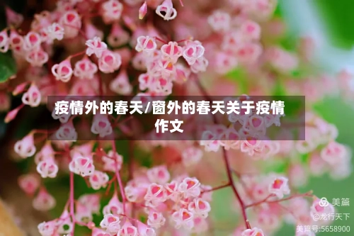 疫情外的春天/窗外的春天关于疫情作文-第2张图片