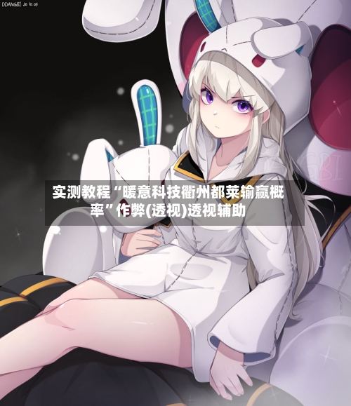 实测教程“暖意科技衢州都莱输赢概率”作弊(透视)透视辅助-第3张图片