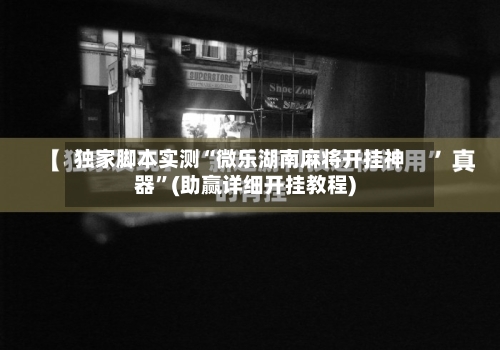 独家脚本实测“微乐湖南麻将开挂神器”(助赢详细开挂教程)-第3张图片