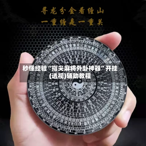 秒懂经验“指尖麻将外卦神器”开挂(透视)辅助教程-第2张图片