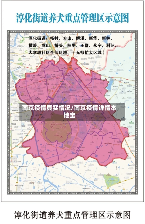 南京疫情真实情况/南京疫情详情本地宝-第1张图片