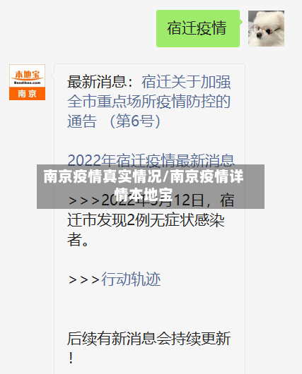 南京疫情真实情况/南京疫情详情本地宝-第2张图片