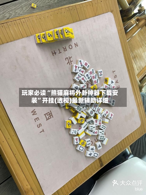 玩家必读“熊猫麻将外卦神器下载安装”开挂(透视)最新辅助详细-第2张图片