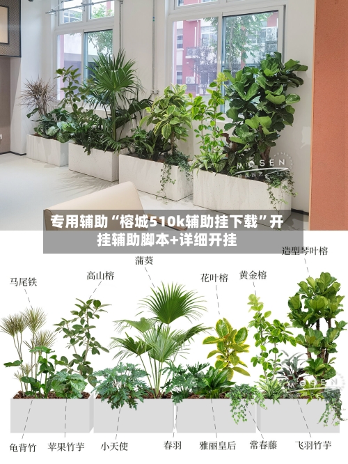 专用辅助“榕城510k辅助挂下载”开挂辅助脚本+详细开挂