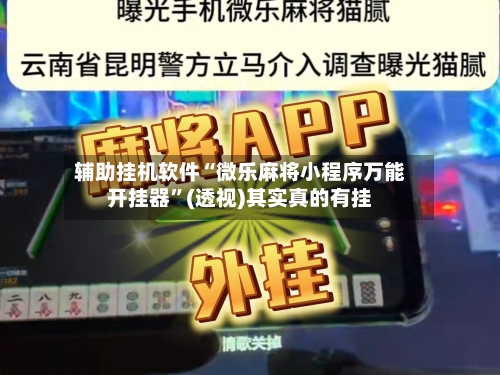 辅助挂机软件“微乐麻将小程序万能开挂器”(透视)其实真的有挂-第3张图片