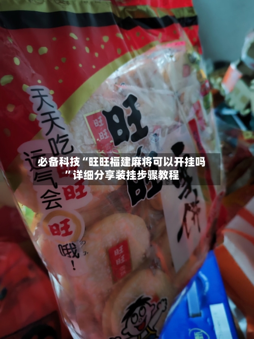必备科技“旺旺福建麻将可以开挂吗”详细分享装挂步骤教程-第3张图片