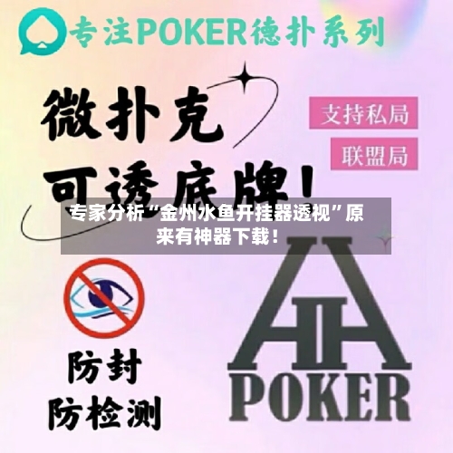 专家分析“金州水鱼开挂器透视”原来有神器下载！-第2张图片