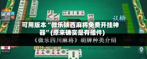 可用版本“微乐陕西麻将免费开挂神器”(原来确实是有插件)-第3张图片