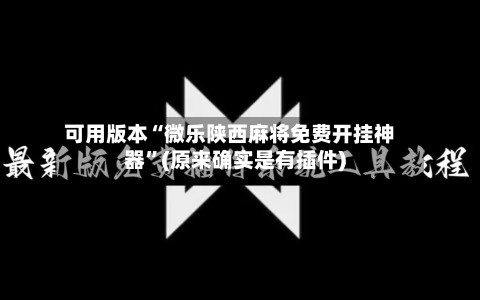 可用版本“微乐陕西麻将免费开挂神器	”(原来确实是有插件)-第2张图片