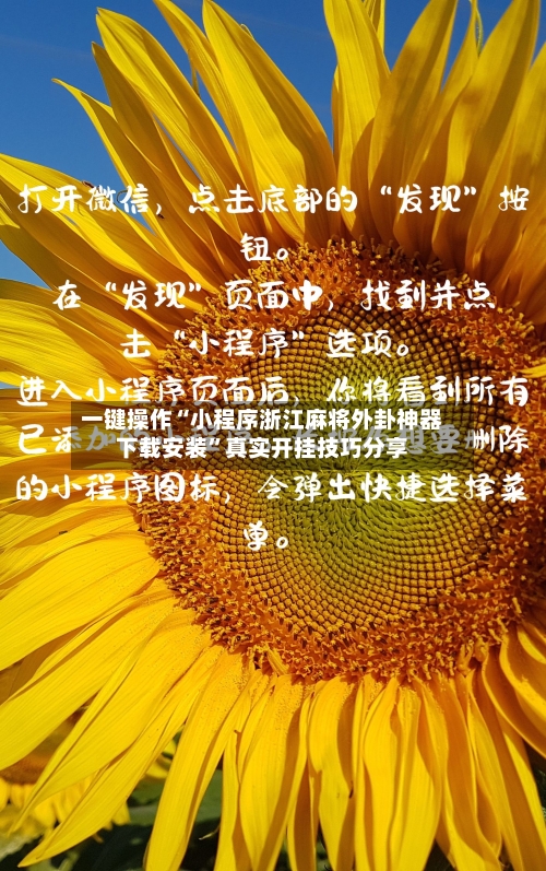 一键操作“小程序浙江麻将外卦神器下载安装	”真实开挂技巧分享-第2张图片