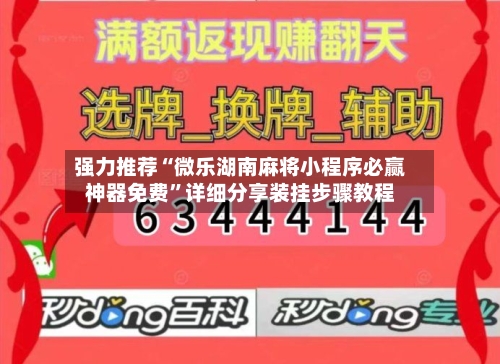 强力推荐“微乐湖南麻将小程序必赢神器免费”详细分享装挂步骤教程-第3张图片