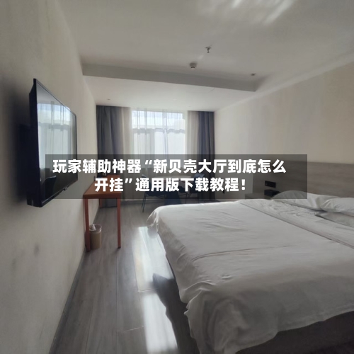 玩家辅助神器“新贝壳大厅到底怎么开挂”通用版下载教程！-第3张图片