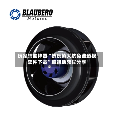 玩家辅助神器“博乐填大坑免费透视软件下载”细辅助教程分享-第2张图片