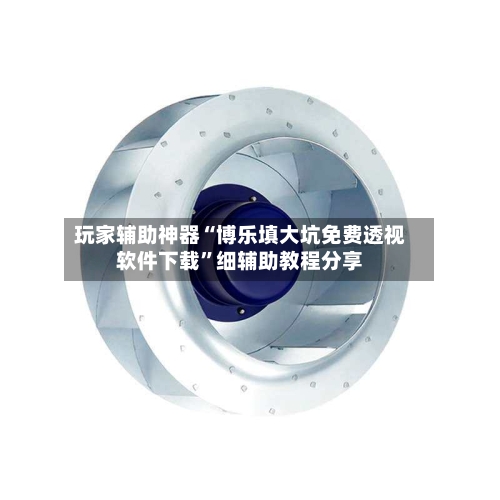 玩家辅助神器“博乐填大坑免费透视软件下载”细辅助教程分享-第3张图片