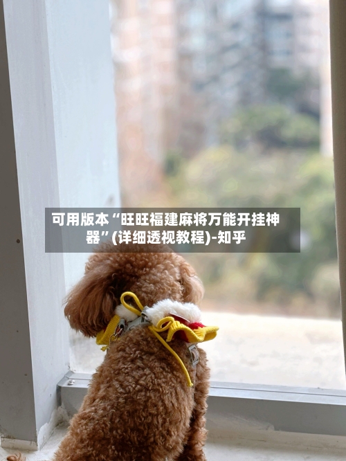 可用版本“旺旺福建麻将万能开挂神器	”(详细透视教程)-知乎-第3张图片