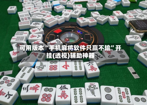 可用版本“手机麻将软件只赢不输”开挂(透视)辅助神器-第2张图片