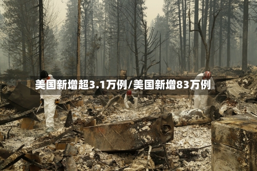 美国新增超3.1万例/美国新增83万例-第2张图片