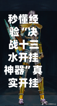 秒懂经验“决战十三水开挂神器”真实开挂技巧分享-第3张图片