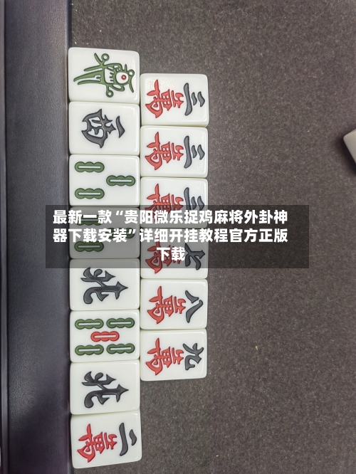 最新一款“贵阳微乐捉鸡麻将外卦神器下载安装”详细开挂教程官方正版下载-第2张图片