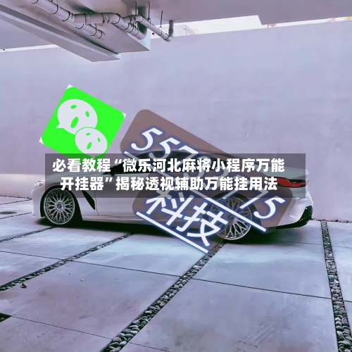 必看教程“微乐河北麻将小程序万能开挂器	”揭秘透视辅助万能挂用法-第2张图片