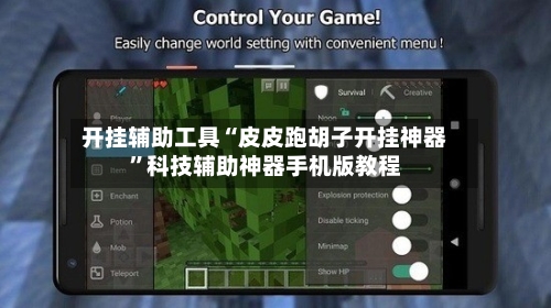 开挂辅助工具“皮皮跑胡子开挂神器”科技辅助神器手机版教程-第3张图片