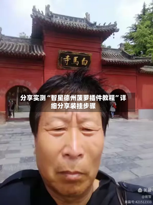 分享实测“智星德州菠萝插件教程”详细分享装挂步骤-第3张图片