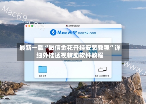 最新一款“微信金花开挂安装教程	”详细外挂透视辅助软件教程-第2张图片