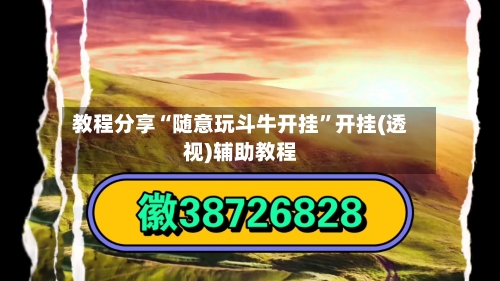 教程分享“随意玩斗牛开挂”开挂(透视)辅助教程-第3张图片