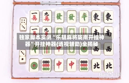 独家脚本实测“乐胡麻将陇南开挂神器	”开挂神器{透视辅助}全揭秘-第3张图片