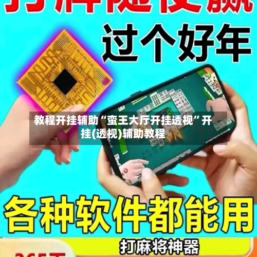 教程开挂辅助“蛮王大厅开挂透视”开挂(透视)辅助教程-第2张图片