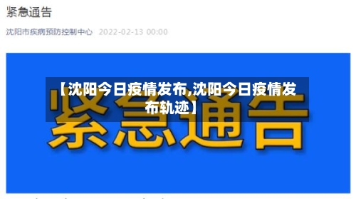 【沈阳今日疫情发布,沈阳今日疫情发布轨迹】