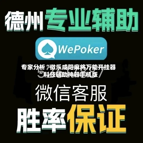 专家分析“微乐咸阳麻将万能开挂器”科技辅助神器手机版-第3张图片