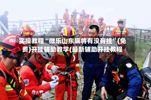 实操教程“微乐山东麻将有没有挂”(免费)开挂辅助教学(最新辅助开挂教程)-第3张图片