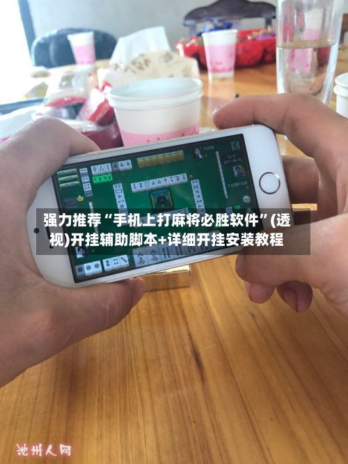 强力推荐“手机上打麻将必胜软件”(透视)开挂辅助脚本+详细开挂安装教程-第3张图片