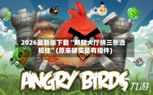 2026最新版下载“麒麟大厅拼三张透视挂	”(原来确实是有插件)-第2张图片